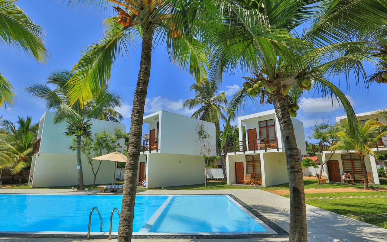 Hotel Arugambay Roccos Arugam Bay Exterior foto