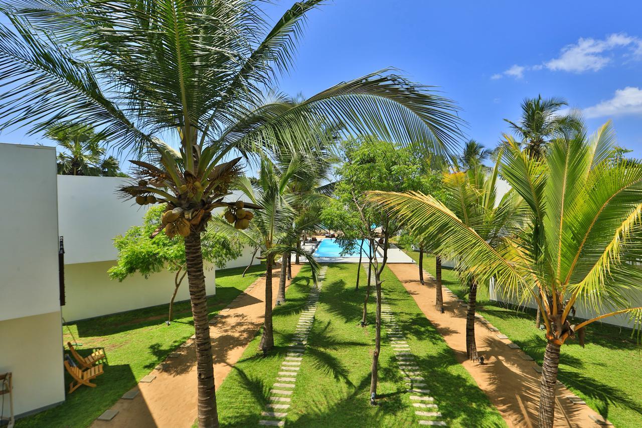 Hotel Arugambay Roccos Arugam Bay Exterior foto